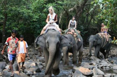 Bhagwan Mahavir Wildlife Sanctuary